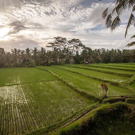 Junjungan Ubud Hotel And Spa Exterior foto