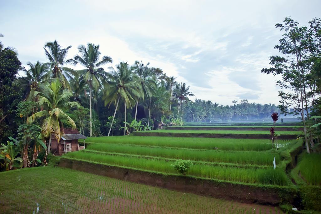 Junjungan Ubud Hotel And Spa Exterior foto